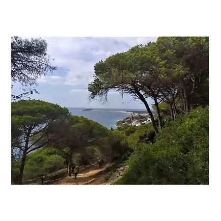 0537 Solea Comfortable *